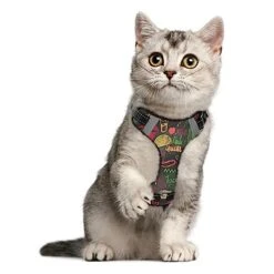 No Pull Dog Harness For Medium Dogs Adjustable Pet Vest Harness With Leash Reflective Front Clip Vest With Handle Easy Control For Small Medium Large Dogs Cats Outdoor Walking Mexican Food Lettering 12 No Pull Dog Harness For Medium Dogs Adjustable Pet Vest Harness With Leash Reflective Front Clip Vest With Handle Easy Control For Small Medium Large Dogs Cats Outdoor Walking Mexican Food Lettering -Zoomie Shop 41BZMh4qghL