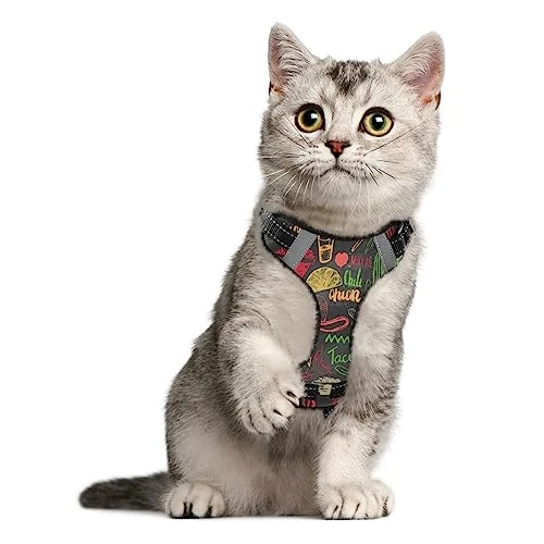 No Pull Dog Harness For Medium Dogs Adjustable Pet Vest Harness With Leash Reflective Front Clip Vest With Handle Easy Control For Small Medium Large Dogs Cats Outdoor Walking Mexican Food Lettering 5 No Pull Dog Harness For Medium Dogs Adjustable Pet Vest Harness With Leash Reflective Front Clip Vest With Handle Easy Control For Small Medium Large Dogs Cats Outdoor Walking Mexican Food Lettering - Image 5