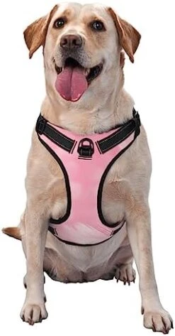 Food Illustration No Pull Dog Harness Adjustable Puppy Harness Reflective Dog Vest Harness Wear-Resistant Oxford Cloth Dog Harness With Leash For Small Medium Large Dogs -Zoomie Shop 41CImcqceuL. AC