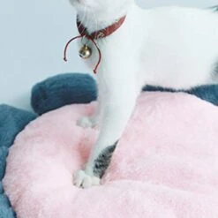 SONGBIRDTH Puppy Cat Round Flower Shape Cushion Plush Floor Mat Dog Carpet Pad Pet Supplies,Breathable Cotton Blend,Removable Easy To Clean Pink M 13 SONGBIRDTH Puppy Cat Round Flower Shape Cushion Plush Floor Mat Dog Carpet Pad Pet Supplies,Breathable Cotton Blend,Removable Easy To Clean Pink M -Zoomie Shop 41CrUwoxBVL