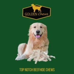 GOLDEN Chews Retriever Roll 7-8 Inches Extra Thick (20 Pack) 10 GOLDEN Chews Retriever Roll 7-8 Inches Extra Thick (20 Pack) -Zoomie Shop 41DT97rSfoL