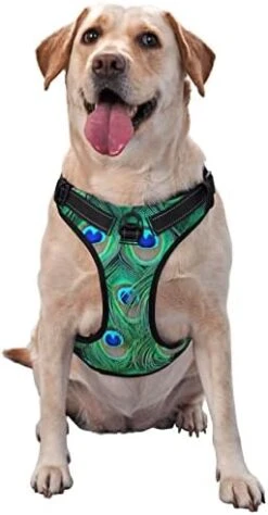 Dog Harness No Pull Walking Pet Harness With Leash, Bagel Food Funny Pattern Adjustable Reflective Oxford Vest With Easy Control Front Clip For Pet Dogs Outdoor 19 Dog Harness No Pull Walking Pet Harness With Leash, Bagel Food Funny Pattern Adjustable Reflective Oxford Vest With Easy Control Front Clip For Pet Dogs Outdoor -Zoomie Shop 41DfmyAFbUL. AC