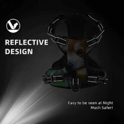 Pet Dog Vest Harness Set Red Panda Eat Food Dog Harness For Small Medium And Large Dogs -Zoomie Shop 41DzyRqO3qL