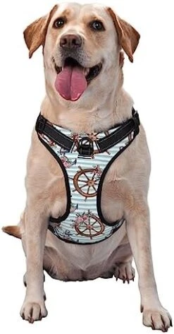 Food Illustration No Pull Dog Harness Adjustable Puppy Harness Reflective Dog Vest Harness Wear-Resistant Oxford Cloth Dog Harness With Leash For Small Medium Large Dogs -Zoomie Shop 41E8dbEOjGL. AC 1