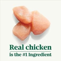 NUTRO HEARTY STEW Adult Natural Grain Free Wet Dog Food Cuts In Gravy Tender Chicken, Carrot & Pea Stew, 12.5 Oz. Cans (Pack Of 12) 7 NUTRO HEARTY STEW Adult Natural Grain Free Wet Dog Food Cuts In Gravy Tender Chicken, Carrot & Pea Stew, 12.5 Oz. Cans (Pack Of 12) -Zoomie Shop 41EP3YJgiGL