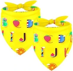 2 Pack Adjustable Dog Bandana,Soft Washable Triangle Bib Hello Summer Cute Food Ice Cream Pineapple Kerchief Scarfs For Small Medium Large Dogs And Cats -Zoomie Shop 41ETMLUkKQL. AC