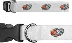 Small 'Seafood Selection' Dog Collar (PR00039079) -Zoomie Shop 41Flt58KIQL. AC