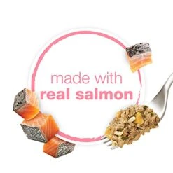 Purina Beneful Gravy, High Protein Wet Dog Food, Chopped Blends With Salmon - (8) 10 Oz. Tubs -Zoomie Shop 41G49AMJgmS