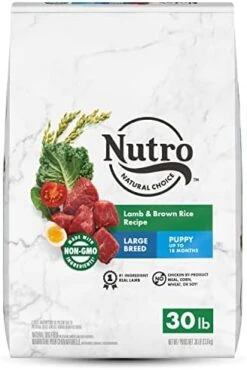 NUTRO NATURAL CHOICE Large Breed Puppy Dry Dog Food, Chicken & Brown Rice Recipe Dog Kibble, 30 Lb. Bag -Zoomie Shop 41G7XhgiRHL. AC