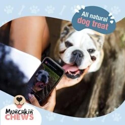 MUNCHKIN CHEWS - 5" Himalayan Real Milk Yak Cheese Bars For Dogs 5 Pack - Odor Free, Rawhide Free Long Lasting Chews - All Natural Healthy Dog & Puppy Training Sticks - Pet Food Essentials - 15 Oz -Zoomie Shop 41GHqJkYTZL