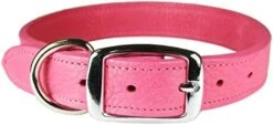 Omnipet Luxe Dog Collar (10, Black) -Zoomie Shop 41GReoq7A5L. AC