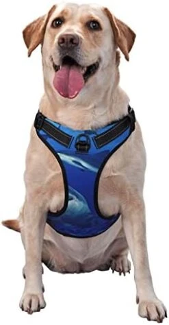 Dog Harness Leash Set Durable Oxford Breathable Reflective Puppy Harness Vest Spaghetti Italian Food For Walking Training Running, No Pull No Choke Pet Dog Harness 25 Dog Harness Leash Set Durable Oxford Breathable Reflective Puppy Harness Vest Spaghetti Italian Food For Walking Training Running, No Pull No Choke Pet Dog Harness -Zoomie Shop 41GcYQT4gWL. AC 1