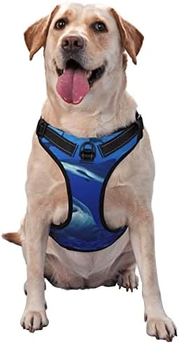 Dog Harness Leash Set Durable Oxford Breathable Reflective Puppy Harness Vest Spaghetti Italian Food For Walking Training Running, No Pull No Choke Pet Dog Harness 11 Dog Harness Leash Set Durable Oxford Breathable Reflective Puppy Harness Vest Spaghetti Italian Food For Walking Training Running, No Pull No Choke Pet Dog Harness - Image 11