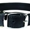 Omnipet Luxe Dog Collar (10, Black)