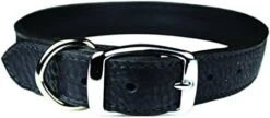 Omnipet Luxe Dog Collar (10, Black) -Zoomie Shop 41GzemtWiXL. AC