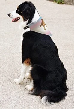 Trans Flag Gifts T-Rex Trans Flag Pet Collar Scarf Bib For Medium To Larger Dogs -Zoomie Shop 41HJxxXLSvL