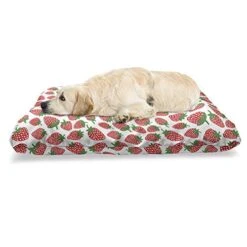 Lunarable Fruit Pet Bed, Hand Drawn Style Strawberries Tropical Juicy Food Natural Clean Eating, Chew Resistant Pad For Dogs And Cats Cushion With Removable Cover, 24" X 39", Vermilion White