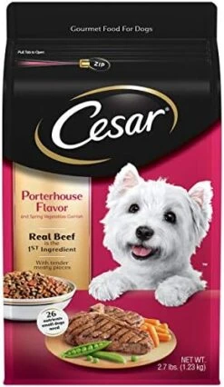 CESAR Small Breed Dry Dog Food Filet Mignon Flavor With Spring Vegetables Garnish Dog Kibble, 12 Lb. Bag -Zoomie Shop 41I8XoRHXL. AC
