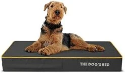 Replacement Outer Cover ONLY (NO Bed, NO Waterproof Inner) For The Dog's Bed Orthopedic Washable Oxford Fabric, XXXL 64” X 44” X 6” (Grey With Dark Blue Piping) -Zoomie Shop 41ITsUdT0gL. AC