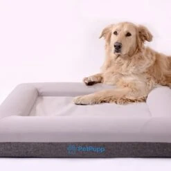 PetPupp Premium Dog Beds For Large And Medium Dogs –Orthopedic Dog Bed With Memory Foam & Machine Washable Cover Suitable As Puppy Beds For Small Dogs – Waterproof Dog Bed Outdoor, YKK Zipper (Medium)
