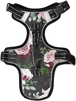 Poeticcity Mushrooms Natural Fungus Mushrooming Organic Food On Brown No Pull Vest Harness, Padded Reflective Adjustable Harnesses For Small To Large Dogs Cats With Leash Clips Easy Control Handle S 29 Poeticcity Mushrooms Natural Fungus Mushrooming Organic Food On Brown No Pull Vest Harness, Padded Reflective Adjustable Harnesses For Small To Large Dogs Cats With Leash Clips Easy Control Handle S -Zoomie Shop 41JLSACE9BL. AC