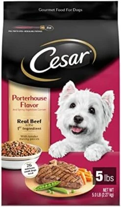 CESAR Small Breed Dry Dog Food Filet Mignon Flavor With Spring Vegetables Garnish Dog Kibble, 12 Lb. Bag -Zoomie Shop 41JVyBioPzL. AC