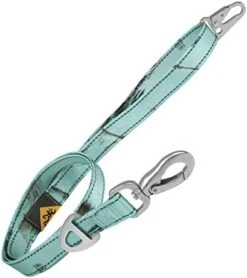 Browning Classic Dog Leash, Safety Orange, 6ft X 1in -Zoomie Shop 41JYGrw5fVL. AC