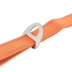 Browning Classic Dog Leash, Safety Orange, 6ft X 1in -Zoomie Shop 41KD8kkQYuL