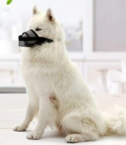 CILKUS Nylon Dog Muzzle Air Mesh Breathable For Small Medium Large Dogs, And Stick Out Tongue Drinkable Pet Muzzle For Anti-Biting Anti-Licking (Large, Black) 20 CILKUS Nylon Dog Muzzle Air Mesh Breathable For Small Medium Large Dogs, And Stick Out Tongue Drinkable Pet Muzzle For Anti-Biting Anti-Licking (Large, Black) -Zoomie Shop 41KPVzu2pFL