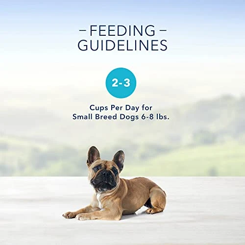 Blue Buffalo Delights Natural Adult Small Breed Wet Dog Food Cup, Roasted Chicken Flavor In Hearty Gravy 3.5-oz (Pack Of 12) 5 Blue Buffalo Delights Natural Adult Small Breed Wet Dog Food Cup, Roasted Chicken Flavor In Hearty Gravy 3.5-oz (Pack Of 12) - Image 5