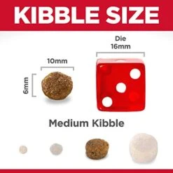 Hill's Science Diet Dry Dog Food, Adult, Small Bites, Lamb Meal & Brown Rice Recipe, 4.5 Lb. Bag 11 Hill's Science Diet Dry Dog Food, Adult, Small Bites, Lamb Meal & Brown Rice Recipe, 4.5 Lb. Bag -Zoomie Shop 41LhKWArVKL