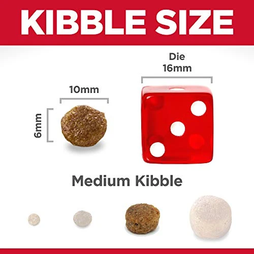 Hill's Science Diet Dry Dog Food, Adult, Small Bites, Lamb Meal & Brown Rice Recipe, 4.5 Lb. Bag 4 Hill's Science Diet Dry Dog Food, Adult, Small Bites, Lamb Meal & Brown Rice Recipe, 4.5 Lb. Bag - Image 4