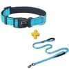 6Ft Double Handle Dog Leash & L Dog Nylon Collar
