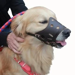 Pet Masks, Dogs, Large, Medium And Small Dogs, Anti-bite, Anti-Barking, Food Protection, Bark Plugs, Dog Mouth Masks Black -Zoomie Shop 41Mk9DWIPfL