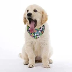 GENERIC Palms Leaves Tropical Flowers And Butterflies Pet Bandana Collar - Scarf Collar - Art Dog Bandana Minimal Head Cicumference -Zoomie Shop 41MqhOGy7lL