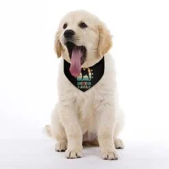 GENERIC American-Akita Pattern Pet Bandana Collar - Scarf Collar - Art Dog Bandana Minimal Head Cicumference 9 GENERIC American-Akita Pattern Pet Bandana Collar - Scarf Collar - Art Dog Bandana Minimal Head Cicumference -Zoomie Shop 41N9wGyc6GL