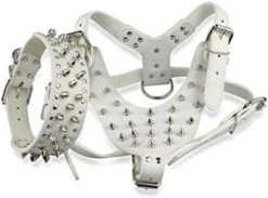 Kuntrona Large Dog Harness And Collar Set Spiked & Studded Leather Dog Pet Harness Collar For Pit Bull Mastiff Medium Large Dogs Green M -Zoomie Shop 41NDbcCxNFL. AC