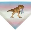 Trans Flag Gifts T-Rex Trans Flag Pet Collar Scarf Bib For Medium To Larger Dogs