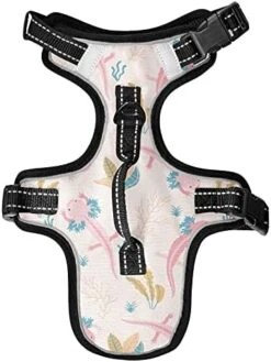 Poeticcity Seamless Colorful Japanese Food On White No Pull Vest Harness, Padded Reflective Adjustable Harnesses For Small To Large Dogs Cats With Leash Clips Easy Control Handle M -Zoomie Shop 41NuzKDeN6L. AC