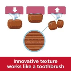 Hill's Science Diet Adult Oral Care Small & Mini Chicken Recipe Dry Dog Food, 4 Lb. Bag -Zoomie Shop 41P7YecyfrL