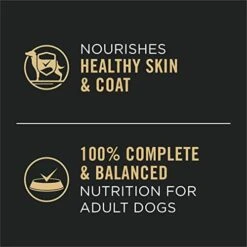 Purina Pro Plan High Protein Dog Food Gravy, Slices In Gravy Beef And Vegetables Entree - (12) 13 Oz. Cans -Zoomie Shop 41PAk0xZYAL