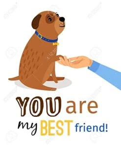 BRIGHTT - Family, Food, And Football Screen Print Dog Shirt Baby Blue Med For Pet Dog Puppy Pup Pupper Doggos -Zoomie Shop 41PDEXBLhvL