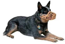Safe BASKERVILLE ANTI SCAVENGE MUZZLE, Size 6, Dog Can Pant And Drink, Prevents Biting And Food Waste Scavenging, Ideal For Longer Nosed Dogs, Breathable Dog Training Muzzle For Medium Dogs -Zoomie Shop 41PM961rcFL