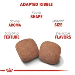 Royal Canin Giant Breed Adult Dry Dog Food, 30 Lb Bag -Zoomie Shop 41PhTWQHVXL