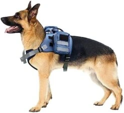 Service Dog Vest Breathable Service Dog Harness Adjustable Pet Vest With Handle For Outdoor Training Walking (Grey, L) 17 Service Dog Vest Breathable Service Dog Harness Adjustable Pet Vest With Handle For Outdoor Training Walking (Grey, L) -Zoomie Shop 41PwoYzl L. AC