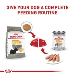 Royal Canin Small Sensitive Skin Care Dry Dog Food, 3 Lb Bag -Zoomie Shop 41QbT6NWKbL
