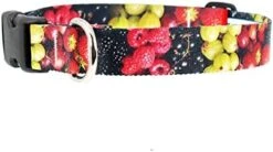 Buttonsmith Pickles Dog Collar - Fadeproof Printing, Military Grade Buckle, Choice Of 6 Sizes, Made In The USA 22 Buttonsmith Pickles Dog Collar - Fadeproof Printing, Military Grade Buckle, Choice Of 6 Sizes, Made In The USA -Zoomie Shop 41QiSwQECfL. AC