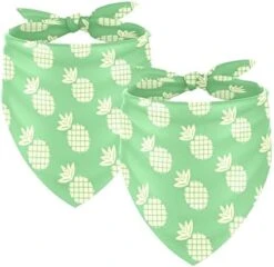 2 Pack Adjustable Dog Bandana,Soft Washable Triangle Bib Hello Summer Cute Food Ice Cream Pineapple Kerchief Scarfs For Small Medium Large Dogs And Cats -Zoomie Shop 41RecyFVWmL. AC