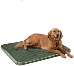SHRADS Canvas Pet Dog Bed Mat Thin Washable Dog Crate Mattress Non Slip Memory Foam Orthopedic Dog Bed (X-Large,Blue) -Zoomie Shop 41RnX1d1joL. AC 2