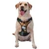 Pet Dog Vest Harness Set Red Panda Eat Food Dog Harness For Small Medium And Large Dogs